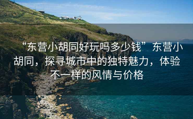 “東營小胡同好玩嗎多少錢”東營小胡同，探尋城市中的獨(dú)特魅力，體驗(yàn)不一樣的風(fēng)情與價(jià)格