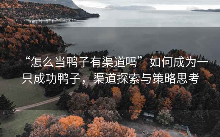 “怎么當(dāng)鴨子有渠道嗎”如何成為一只成功鴨子，渠道探索與策略思考