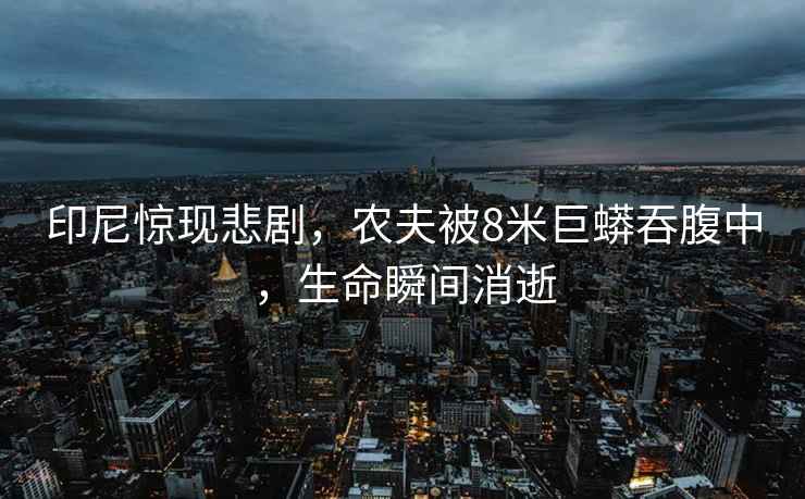 印尼驚現悲劇，農夫被8米巨蟒吞腹中，生命瞬間消逝