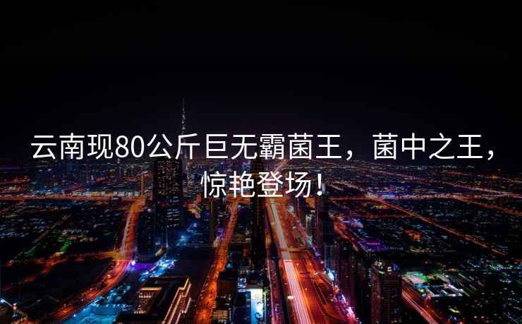云南現80公斤巨無霸菌王，菌中之王，驚艷登場！