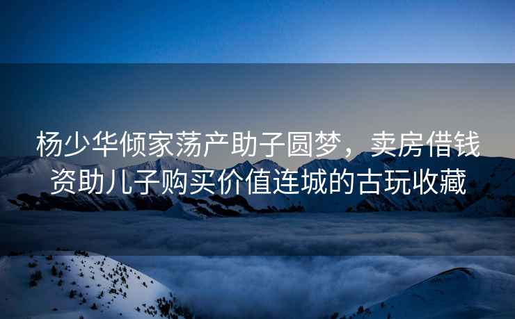 楊少華傾家蕩產助子圓夢，賣房借錢資助兒子購買價值連城的古玩收藏