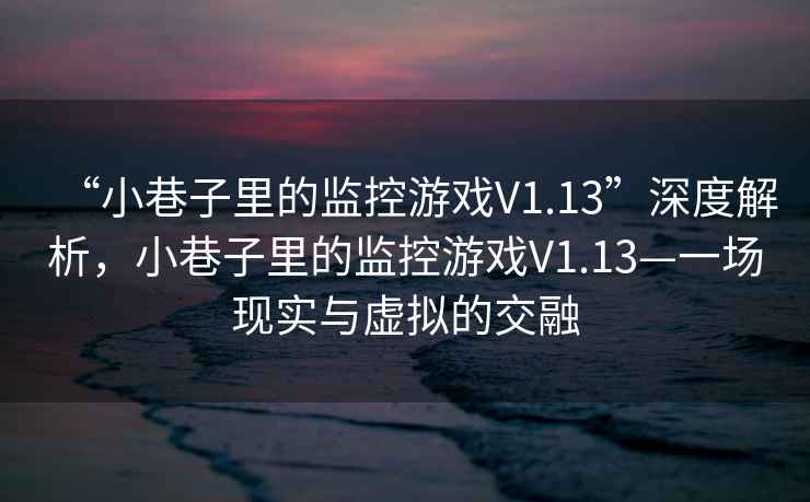 “小巷子里的監控游戲V1.13”深度解析，小巷子里的監控游戲V1.13—一場現實與虛擬的交融