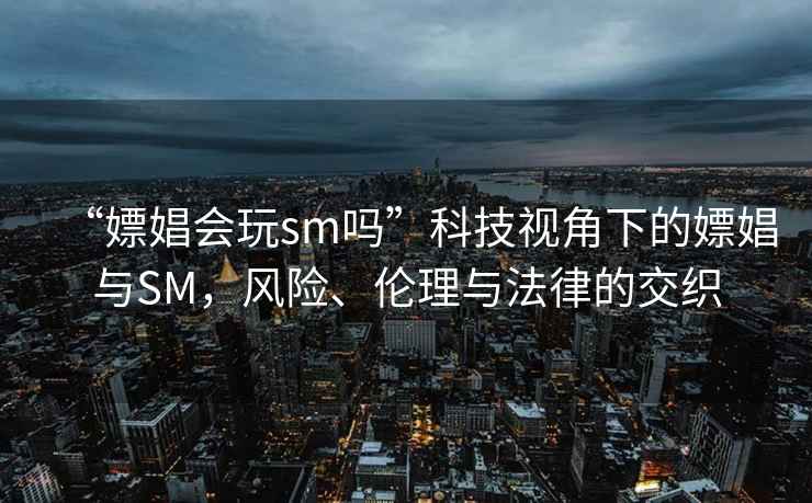 “嫖娼會玩sm嗎”科技視角下的嫖娼與SM，風險、倫理與法律的交織