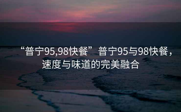 “普寧95,98快餐”普寧95與98快餐，速度與味道的完美融合