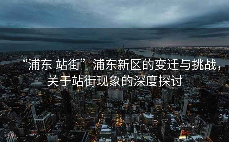 “浦東 站街”浦東新區的變遷與挑戰，關于站街現象的深度探討