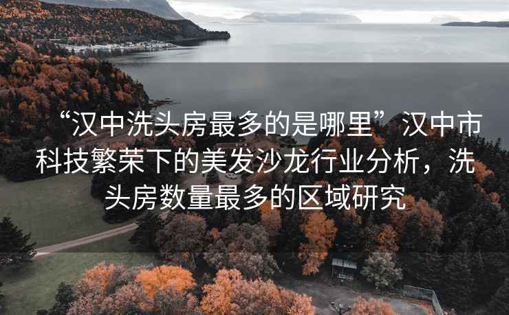 “漢中洗頭房最多的是哪里”漢中市科技繁榮下的美發沙龍行業分析，洗頭房數量最多的區域研究