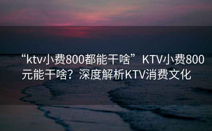 “ktv小費800都能干啥”KTV小費800元能干啥？深度解析KTV消費文化