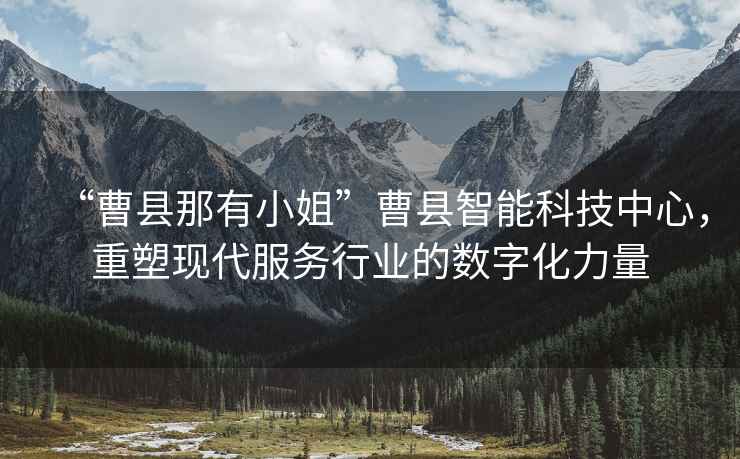 “曹縣那有小姐”曹縣智能科技中心，重塑現代服務行業的數字化力量