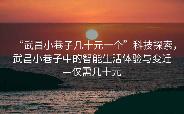 “武昌小巷子幾十元一個(gè)”科技探索，武昌小巷子中的智能生活體驗(yàn)與變遷—僅需幾十元