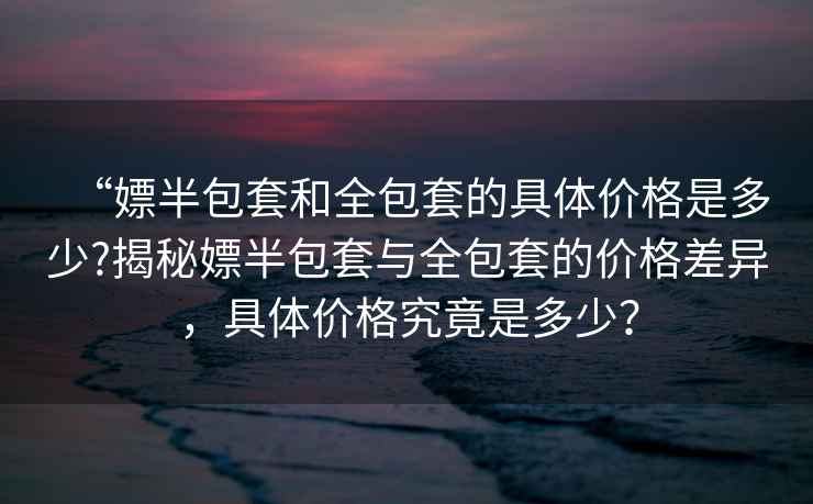 “嫖半包套和全包套的具體價格是多少?揭秘嫖半包套與全包套的價格差異，具體價格究竟是多少？