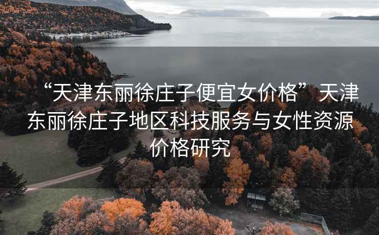 “天津東麗徐莊子便宜女價格”天津東麗徐莊子地區科技服務與女性資源價格研究