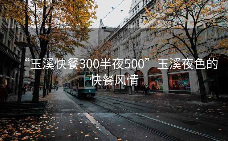 “玉溪快餐300半夜500”玉溪夜色的快餐風情
