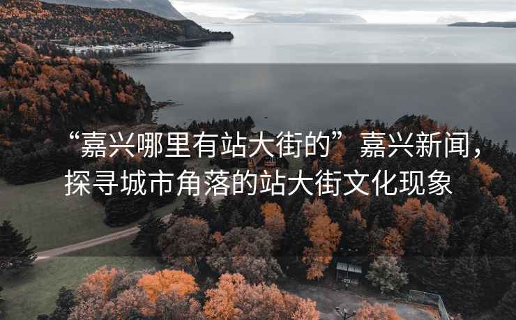 “嘉興哪里有站大街的”嘉興新聞，探尋城市角落的站大街文化現象