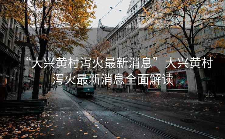 “大興黃村瀉火最新消息”大興黃村瀉火最新消息全面解讀