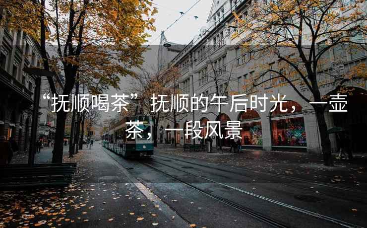 “撫順喝茶”撫順的午后時光，一壺茶，一段風景