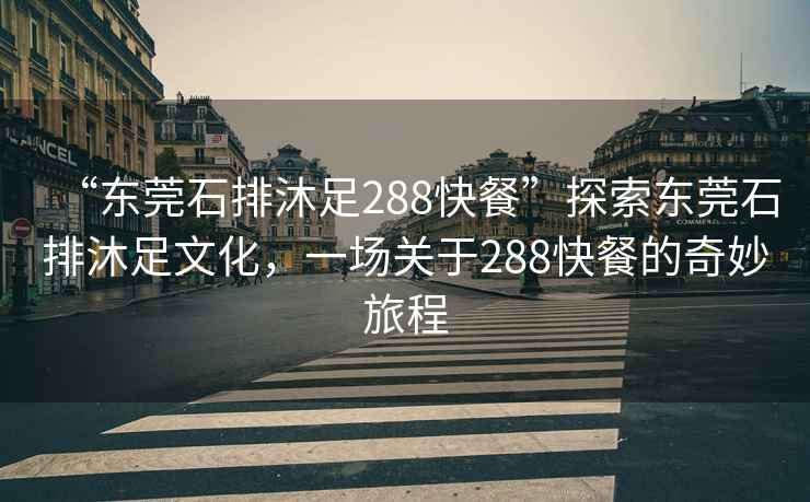 “東莞石排沐足288快餐”探索東莞石排沐足文化，一場關(guān)于288快餐的奇妙旅程
