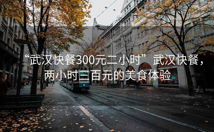 “武漢快餐300元二小時”武漢快餐，兩小時三百元的美食體驗