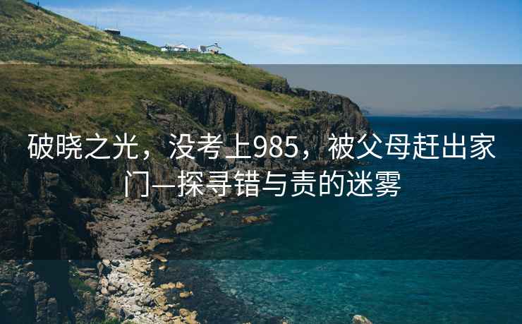 破曉之光，沒考上985，被父母趕出家門—探尋錯與責的迷霧