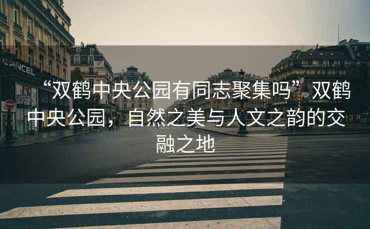 “雙鶴中央公園有同志聚集嗎”雙鶴中央公園，自然之美與人文之韻的交融之地