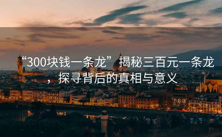 “300塊錢一條龍”揭秘三百元一條龍，探尋背后的真相與意義