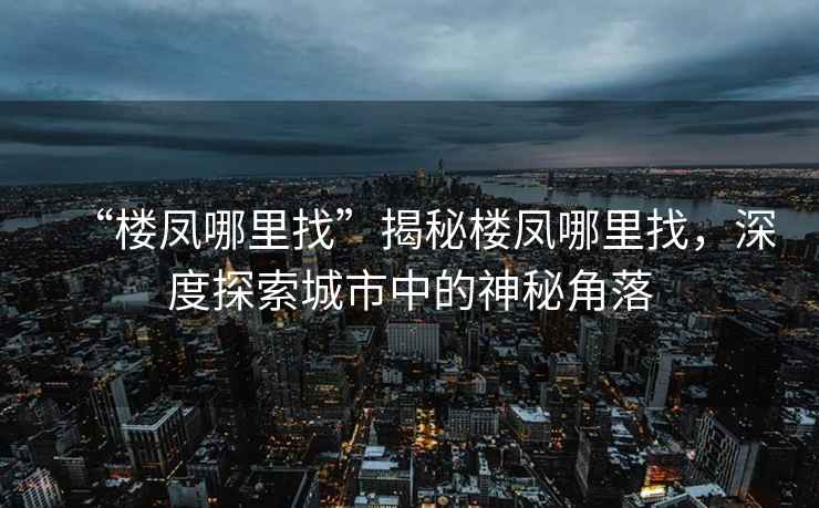 “樓鳳哪里找”揭秘樓鳳哪里找，深度探索城市中的神秘角落