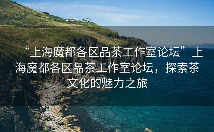 “上海魔都各區(qū)品茶工作室論壇”上海魔都各區(qū)品茶工作室論壇，探索茶文化的魅力之旅