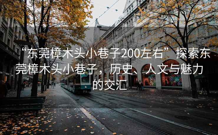 “東莞樟木頭小巷子200左右”探索東莞樟木頭小巷子，歷史、人文與魅力的交匯