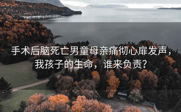 手術后腦死亡男童母親痛徹心扉發聲，我孩子的生命，誰來負責？
