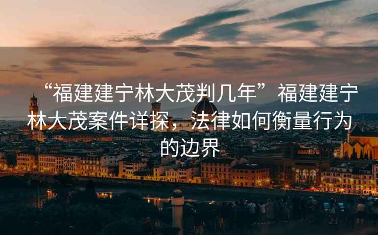 “福建建寧林大茂判幾年”福建建寧林大茂案件詳探，法律如何衡量行為的邊界