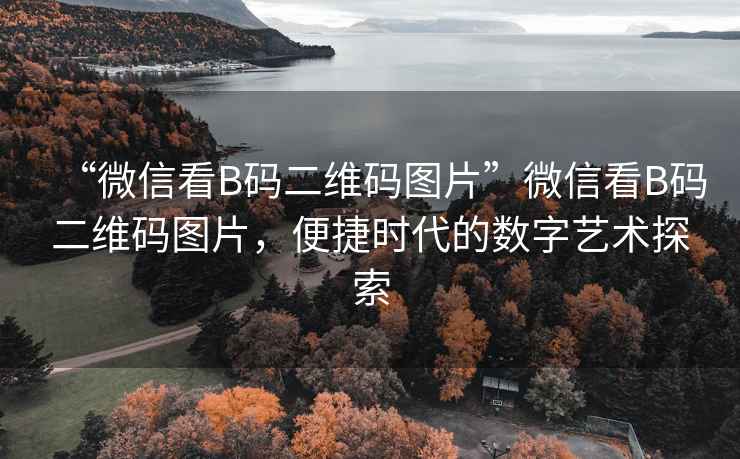 “微信看B碼二維碼圖片”微信看B碼二維碼圖片，便捷時代的數字藝術探索