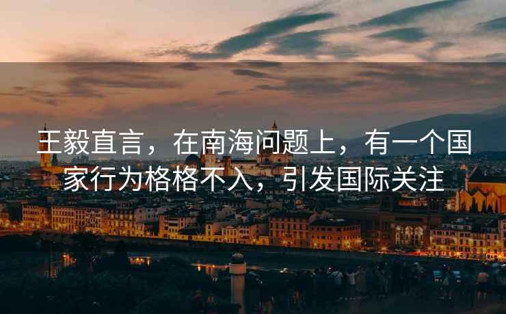 王毅直言，在南海問題上，有一個國家行為格格不入，引發國際關注