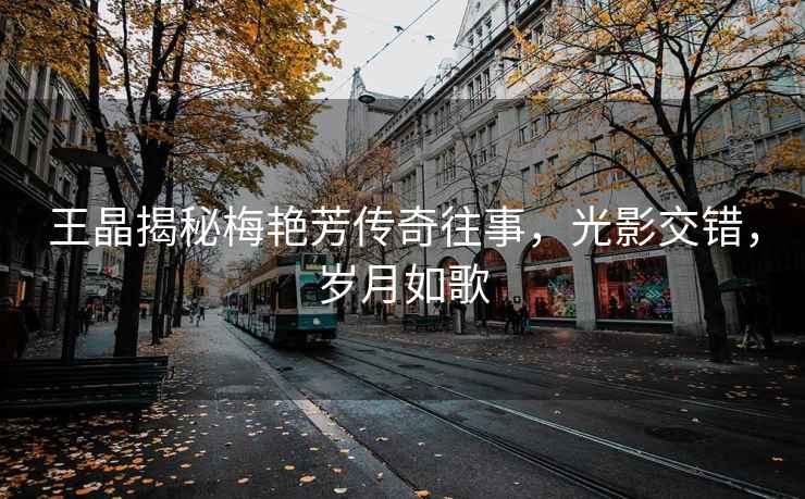 王晶揭秘梅艷芳傳奇往事，光影交錯，歲月如歌