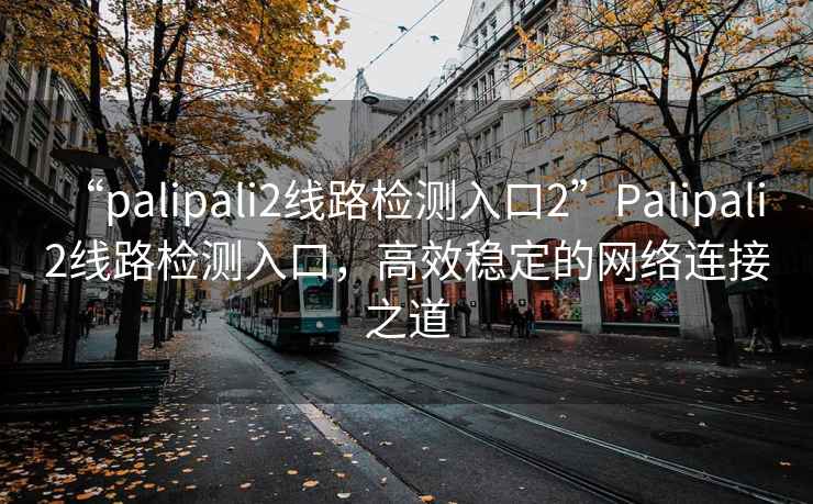 “palipali2線路檢測入口2”Palipali 2線路檢測入口，高效穩定的網絡連接之道