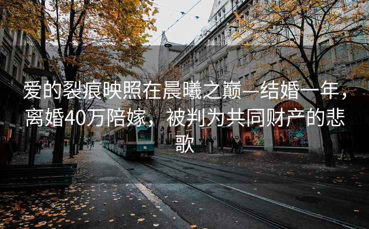 愛的裂痕映照在晨曦之巔—結(jié)婚一年，離婚40萬陪嫁，被判為共同財產(chǎn)的悲歌