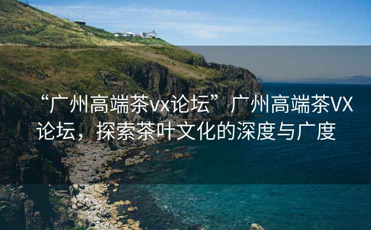 “廣州高端茶vx論壇”廣州高端茶VX論壇，探索茶葉文化的深度與廣度