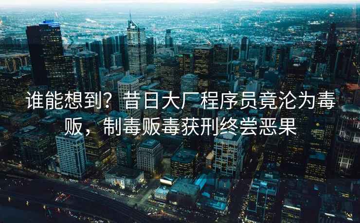 誰能想到？昔日大廠程序員竟淪為毒販，制毒販毒獲刑終嘗惡果