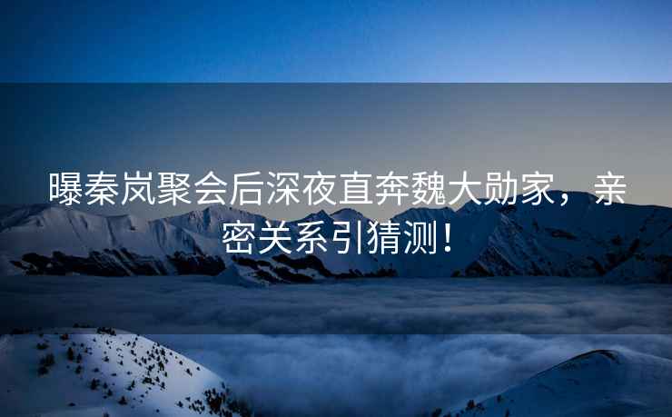 曝秦嵐聚會后深夜直奔魏大勛家，親密關(guān)系引猜測！