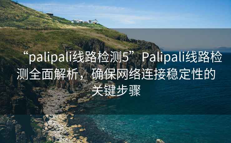 “palipali線路檢測5”Palipali線路檢測全面解析，確保網絡連接穩定性的關鍵步驟