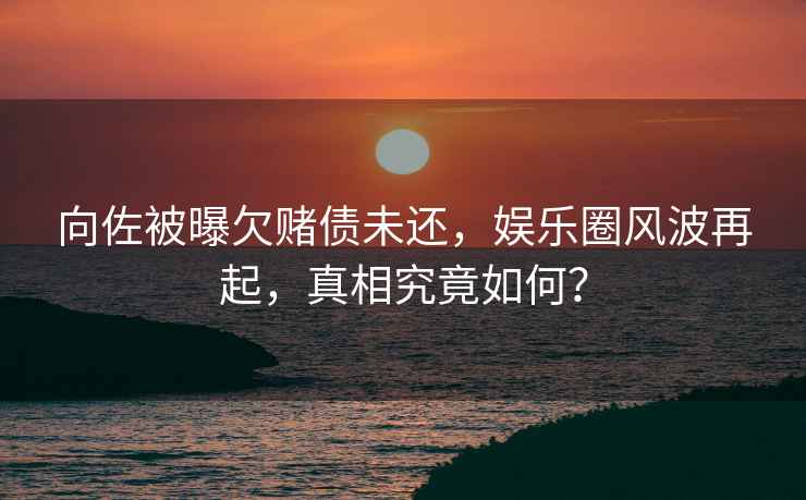 向佐被曝欠賭債未還，娛樂圈風(fēng)波再起，真相究竟如何？