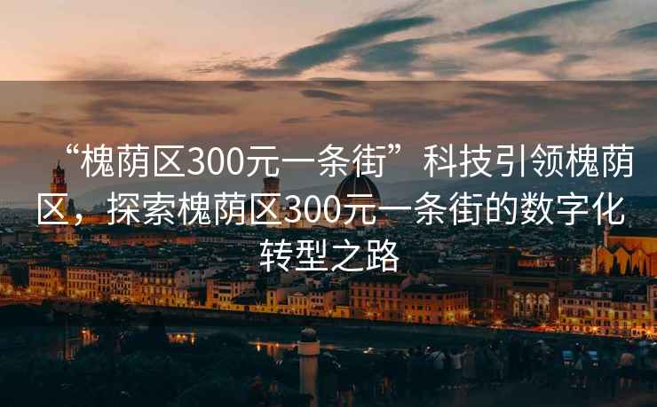 “槐蔭區300元一條街”科技引領槐蔭區，探索槐蔭區300元一條街的數字化轉型之路