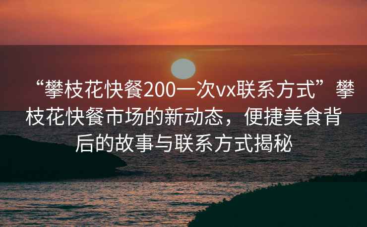 “攀枝花快餐200一次vx聯系方式”攀枝花快餐市場的新動態，便捷美食背后的故事與聯系方式揭秘