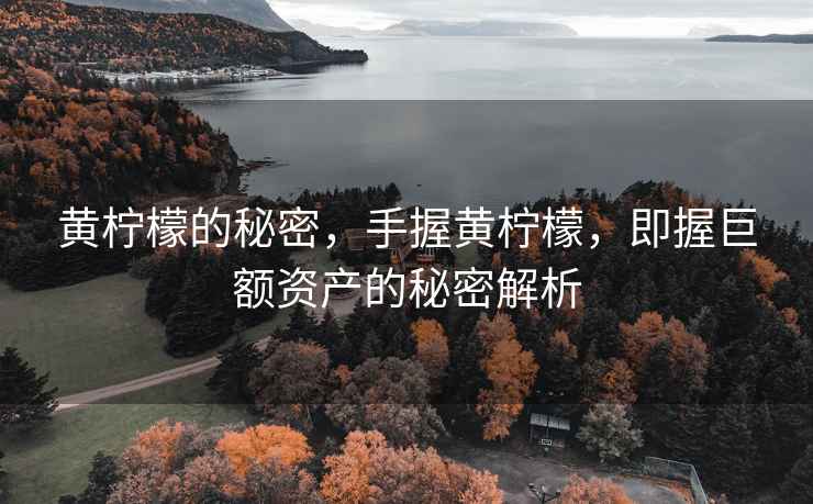 黃檸檬的秘密，手握黃檸檬，即握巨額資產的秘密解析