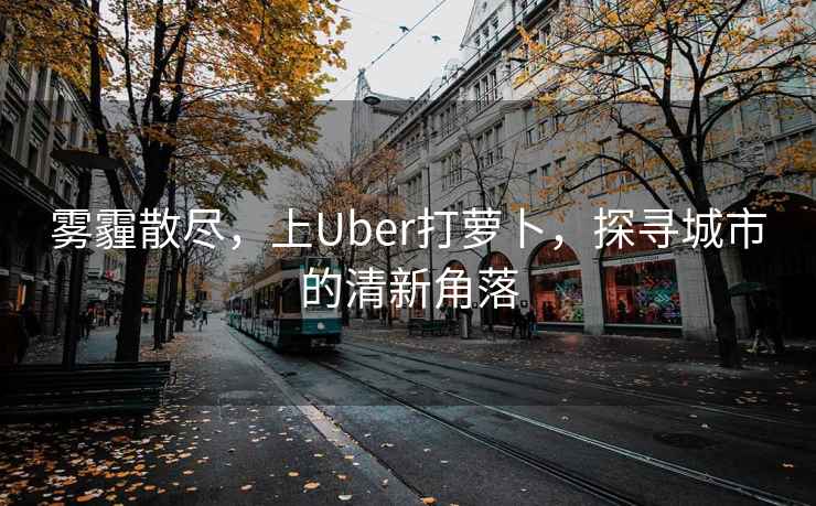 霧霾散盡，上Uber打蘿卜，探尋城市的清新角落