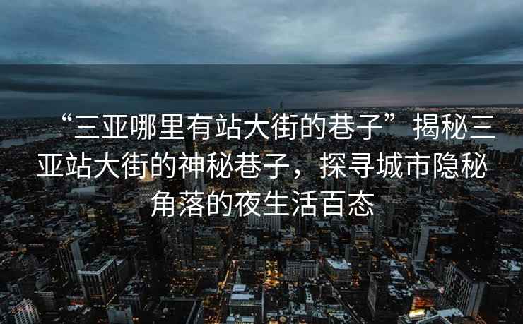 “三亞哪里有站大街的巷子”揭秘三亞站大街的神秘巷子，探尋城市隱秘角落的夜生活百態