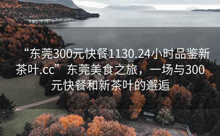 “東莞300元快餐1130.24小時品鑒新茶葉.cc”東莞美食之旅，一場與300元快餐和新茶葉的邂逅