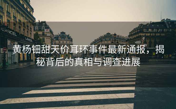 黃楊鈿甜天價(jià)耳環(huán)事件最新通報(bào)，揭秘背后的真相與調(diào)查進(jìn)展