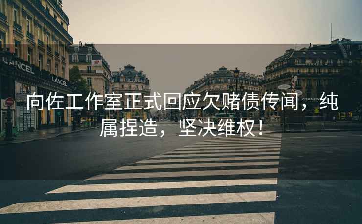 向佐工作室正式回應欠賭債傳聞，純屬捏造，堅決維權！