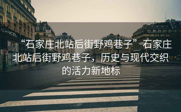 “石家莊北站后街野雞巷子”石家莊北站后街野雞巷子，歷史與現(xiàn)代交織的活力新地標(biāo)