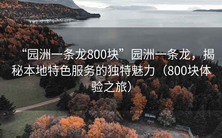 “園洲一條龍800塊”園洲一條龍，揭秘本地特色服務(wù)的獨特魅力（800塊體驗之旅）