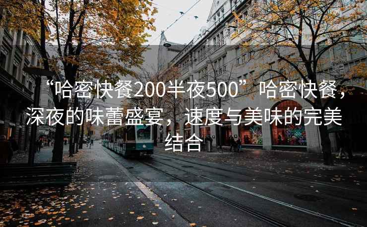 “哈密快餐200半夜500”哈密快餐，深夜的味蕾盛宴，速度與美味的完美結合